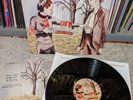 Dr. Dog - FATE - 180gm Vinyl LP - VG+ Wax  Rare Indie Rock Album