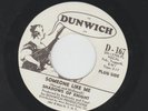 GARAGE  PUNK - SHADOWS OF KNIGHT - SOMEONE LIKE ME - HEAR 1967 PROMO DUNWICH