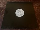 JR. GONG & BIGGIE - Welcome To Jamrock Remix - 12” Vinyl Record Promo Ltd. Ed. S