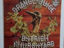 Orange Juice - Ostrich Churchyard  Near Mint condition Vinyl LP with limited 10