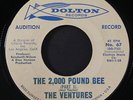VENTURES: the 2,000 pound bee / part 2 DOLTON 7