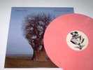 PINK FLOYD 1977 MADISON SQUARE GARDEN LP VINYL ALBUM C113
