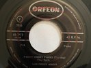 LOS CRAZY BIRDS - Panky Hanky Panky - GARAGE FUZZ PUNK MEXICO 45
