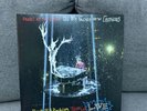 PANIC AT THE DISCO All My Friends We're Glorious Death of Bachelor Tour LP RARE