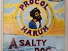 PROCOL HARUM - WHITER SHADE OF PALE/SALTY DOG 2LP VINYL RECORD ALBUM EX+/VG+