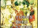 The Stone Roses Turns Into Stone (Vinyl) 12