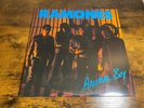 RAMONES - Animal Boy 1986 Vinyl LP SIRE Records 1-25433 SRC - NM