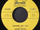 LIGHTNIN' HOPKINS: hopkins' sky hop / lonesome in your home HERALD 7