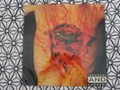 DISMEMBER Indecent And Obscene LP 1993 ORIGINAL  NEAR MINT DEATH METAL