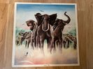 Elvis Costello ‎– Armed Forces 1979 Radar RAD 14 UK Fold Out/Postcards Vinyl NM