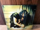 Ani DiFranco – Dilate, Vinyl. Near Mint NM. Righteous Babe Records – RBR 008-V