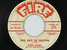 Blues 45 - Elmo James (Elmore James) - The Sky Is Crying - Fire - mp3