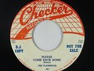 Doo-Wop 45 - Flamingos - Please Come Back Home - Checker - VG+ mp3