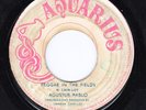 AUGUSTUS PABLO - REGGAE IN THE FIELDS / AQUARIUS 2