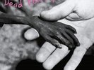 Dead Kennedys - Plastic Surgery Disasters (Reissue) (NEW VINYL LP)