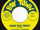 Heavy SF Raga LSD Psych CRYSTAL GARDEN Peach Fuzz Forest / Flash 45 HEAR