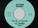 Garage 45 - Gnomes - The Sky Is Falling - Afton - mp3 - rare