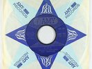 Garage Psych 45 - The Haunted - 1-2-5 - Amy - mp3