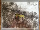 John Lurie National Orchestra / Invention of Animals 2014 Amulet Sealed