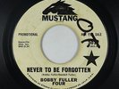 Garage 45 - Bobby Fuller Four - Never To Be Forgotten - Mustang - mp3