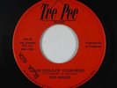 Garage Psych Fuzz 45 - Hinge - The Idols Of Your Mind - Tee Pee - VG+ mp3