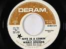 Psych 45 - Warm Sounds - Nite Is Comin' - Deram - mp3