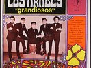 LOS ARABES: grandiosos MAGDA 12