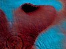 PINK FLOYD Meddle 180g vinyl  LP new sealed