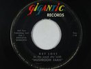 Garage 45 - Mushroom Farm - Get Lost/Why Can't I See - Gigantic - mp3