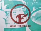 Finch What It Is To Burn Vinyl  2x Vinyl Lp Teal /1500 Custom Screen Print /75