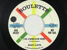 Rockabilly 45 - Jimmy Lloyd - I Got A Rocket In My Pocket - Roulette - mp3