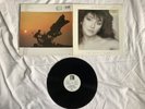 KATE BUSH   /  THE WHOLE STORY  -    VINYL LP