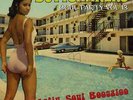 Buttshakers / BUTTSHAKERS SOUL PARTY VOL. 13 (LP) / Mr Luckee Records / LUCK 42