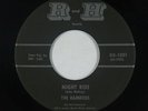 Surf Inst. 45 - Ramrods - Night Ride - R and H - VG+ mp3