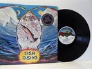 STEVE HILLAGE fish rising LP EX/EX, VR 13-118, vinyl, album, usa, 1975, prog