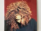 Janet Jackson The Velvet Rope 2LP Vinyl