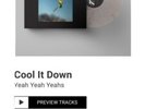 Yeah Yeah Yeahs - Cool It Down Vinyl w/ SIGNED Photo Book Presale