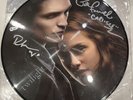 Twilight RARE Hot Topic Paramore Picture Disc Vinyl Record LP