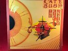 KATE BUSH The Kick Inside 1978 UK vinyl LP Man With The Child Wuthering Heights