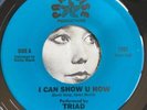 TRIAD I Can Show You How 45 modern soul electro funk synth pop boogie hawaii
