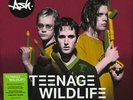 Ash - Teenage Wildlife: 25 Years Of Ash (Vinyl 2LP - 2020 - EU - Original)