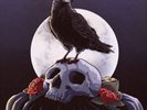 Jedi Mind Tricks FUNERAL & THE RAVEN (UK IMPORT) VINYL LP NEW