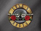 Greatest Hits (2LP Vinyl) By Guns N' Roses $50.28