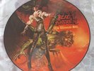 OZZY OSBOURNE - THE ULTIMATE SIN - 1986 - UK PICTURE PIC DISC LP / Black Sabbath