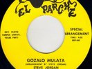 texas LATIN CHICANO psych soul funk 45 STEVE JORDAN esteban jordan GOZALO MULATA