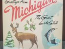 Sufjan Stevens Greetings From Michigan The Great Lake State OG Press 2xLP VG