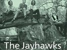 The Jayhawks, Tomorrow The Green Grass [LP], Excellent, Vinyl