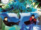 Associates - Sulk LP NEW COLOR VINYL