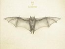 He Is Legend - White Bat NEW Sealed Vinyl LP Album