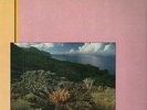 Friedemann Indian Summer NEAR MINT Biber Vinyl LP